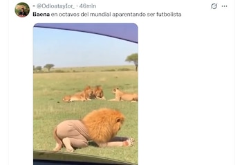 memes portugal españa mundial