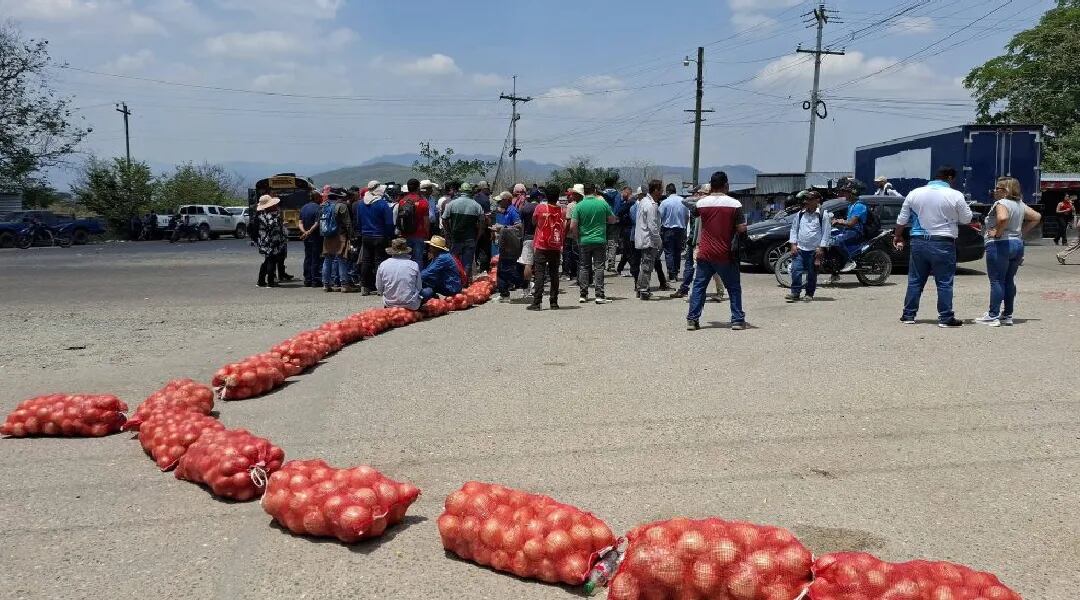 El sector afirma que vender por debajo del costo pone en riesgo la actividad agrícola. (FOTO: Proceso Digital)