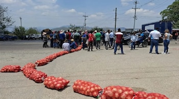 El sector afirma que vender por debajo del costo pone en riesgo la actividad agrícola. (FOTO: Proceso Digital)