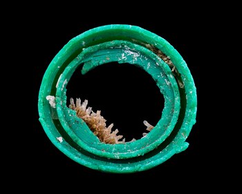 La muestra utiliza fotografía, cartografía