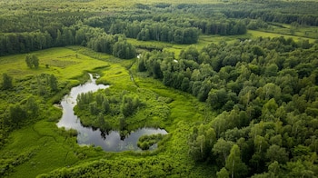 Esta tecnología aprovecha la energía