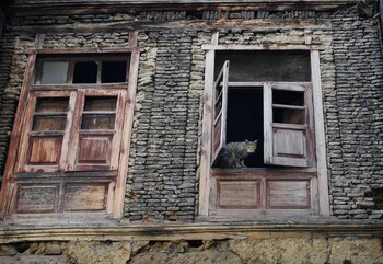 Expertos insistieron en la necesidad