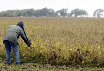 El precio internacional de la