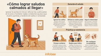 Infografía con ilustraciones de un hombre y un perro que incluye textos explicativos sobre cómo lograr saludos tranquilos en el hogar.