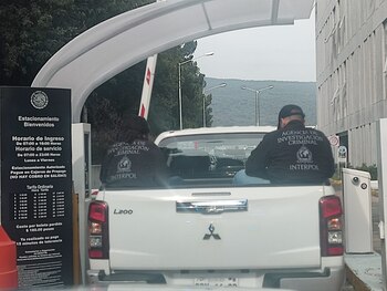 Elementos de la Interpol durante