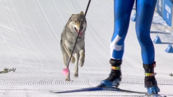 Inesperada escena en los Juegos