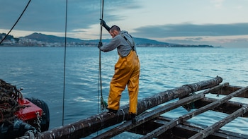 Un buque auxiliar de bateas