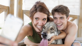 Una nueva oferta en coberturas
