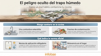Infografía con título "El peligro oculto del trapo húmedo", imágenes de trapos sucios, bacterias, cocina, certificado, lavadora y vegetales.