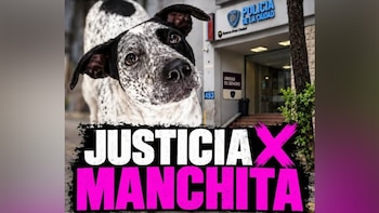 Piden justicia por “Manchita”, la perra asesinada de un tiro por un policía porteño en una comisaría de Floresta