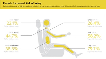 Las conclusiones de estos estudios