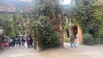 Imagen F5AH6GUK7NARHM4DN6YAHLWP4Y