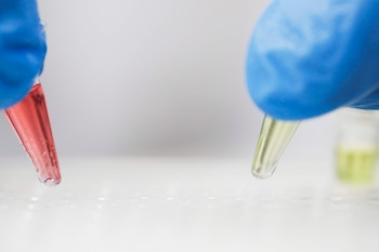 En los alvéolos, el SARS-CoV-2