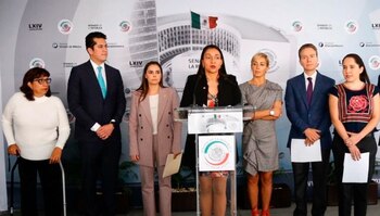 El Partido Verde presentó una