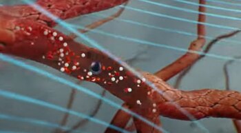 La incorporación de nanopartículas de