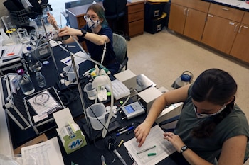 Vista aérea de dos mujeres en un laboratorio, ambas con mascarillas, una ajustando equipo científico y la otra revisando documentos en una mesa de trabajo
