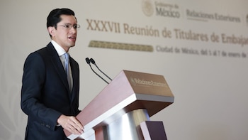 Este será el sueldo de Roberto Velasco Álvarez al frente de la SRE