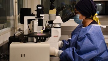 Cuántos muertos van por la