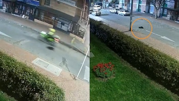 Comunidad de Bosa exige a la Policía de Bogotá identificar al uniformado que atropelló a una perrita y se fue sin socorrerla