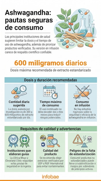 Infografía sobre ashwagandha con ilustración de planta, raíces, cápsulas, frascos de laboratorio, calendario, tetera, sellos de certificación y balanza.