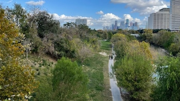 El hallazgo de un nuevo