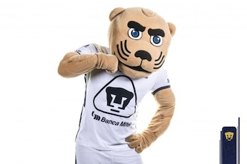 Desde Casti en 1947 hasta