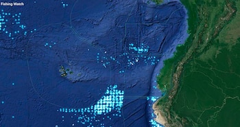 El Gobierno ecuatoriano advirtió a