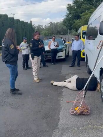 Personal especializado ayudó en el rescate de una serpiente (X/ @rbarriosfuentes)