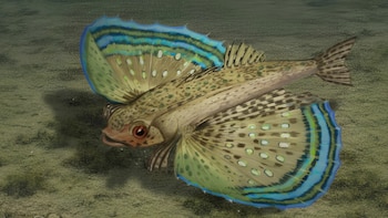 Descubren una nueva especie de pez fósil vinculada a la formación del istmo de Panamá