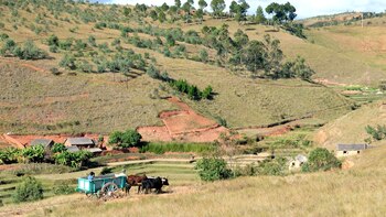 Agricultores conducen un carro tirado