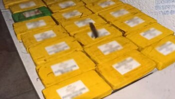 Parte de la droga asegurada