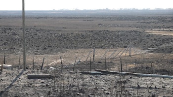 incendios