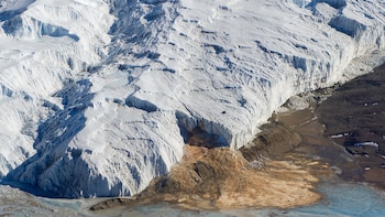 ¿La ciencia reveló el misterio