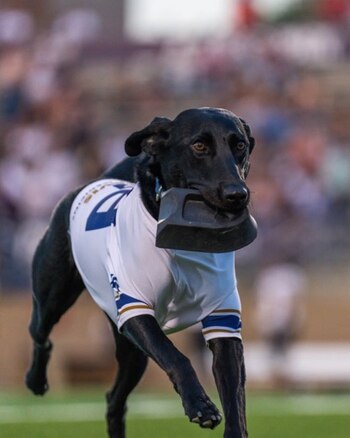 Cori cargando el tee de