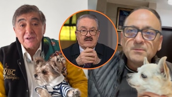Famosos arremeten contra Pedro Sola y Ventaneando por comentario sobre envenenar perros: “Son una vergüenza”