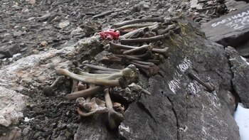 Los restos hallados comprenden un