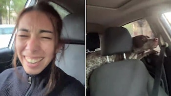 Fue a buscar su auto al taller y se llevó por error el perro del mecánico