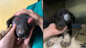 Estudiantes denunciaron que el caso