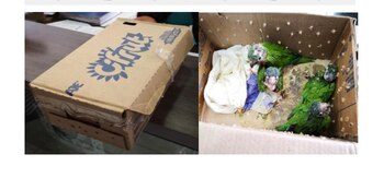 Las especies eran comercializadas por