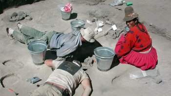 Excavación en el complejo arqueológico