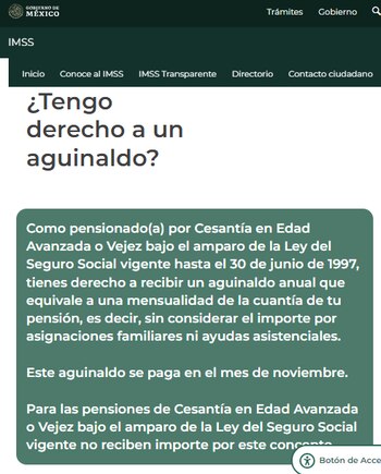 (Captura de pantalla IMSS)