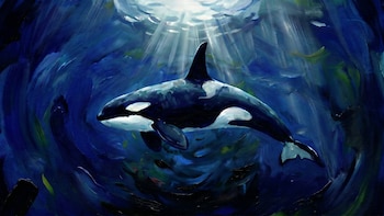 Callejón biológico sin salida para las orcas y el precio de la perfección acuática