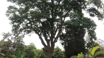 sobre la importancia de la