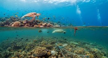 Vista dividida del océano con una tortuga nadando sobre un arrecife de coral sano y otra tortuga cerca de un fondo marino con red de pesca y botella de plástico.