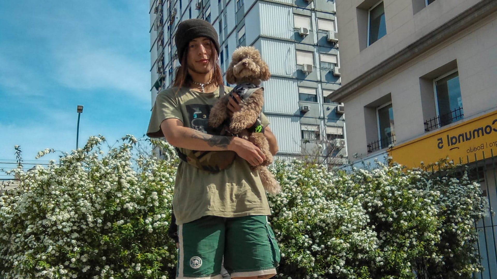 Autonomía, formación y perros que son familia: la historia de Liam y el auge de los oficios juveniles en el mundo de las mascotas