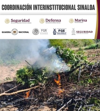 Tras notificar al ministerio público,