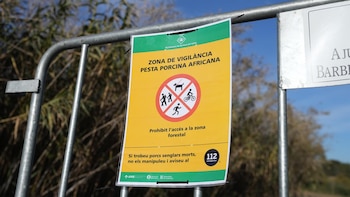 Guardia Civil y Mossos entran