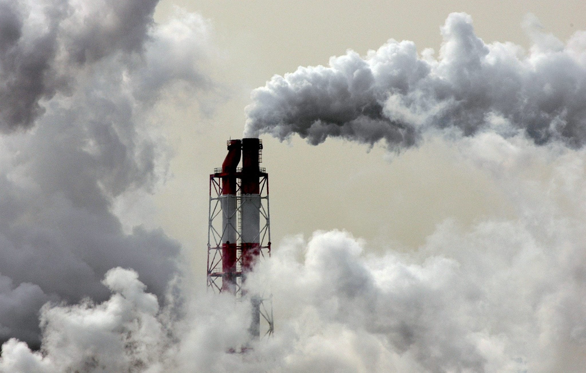 “El cambio climático es una emergencia sanitaria”, sostuvo Estol, y detalló el impacto invisible de la contaminación en la salud cardiovascular. - EFE/Franck Robichon