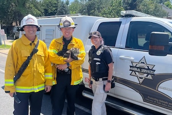 La Autoridad Unificada de Bomberos y los Servicios para Animales del Condado de Salt Lake se unieron para rescatar a Toast Malone (Autoridad Unificada de Bomberos)