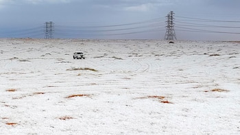 El desierto de Arabia Saudita ve nieve por primera vez en la historia registrada